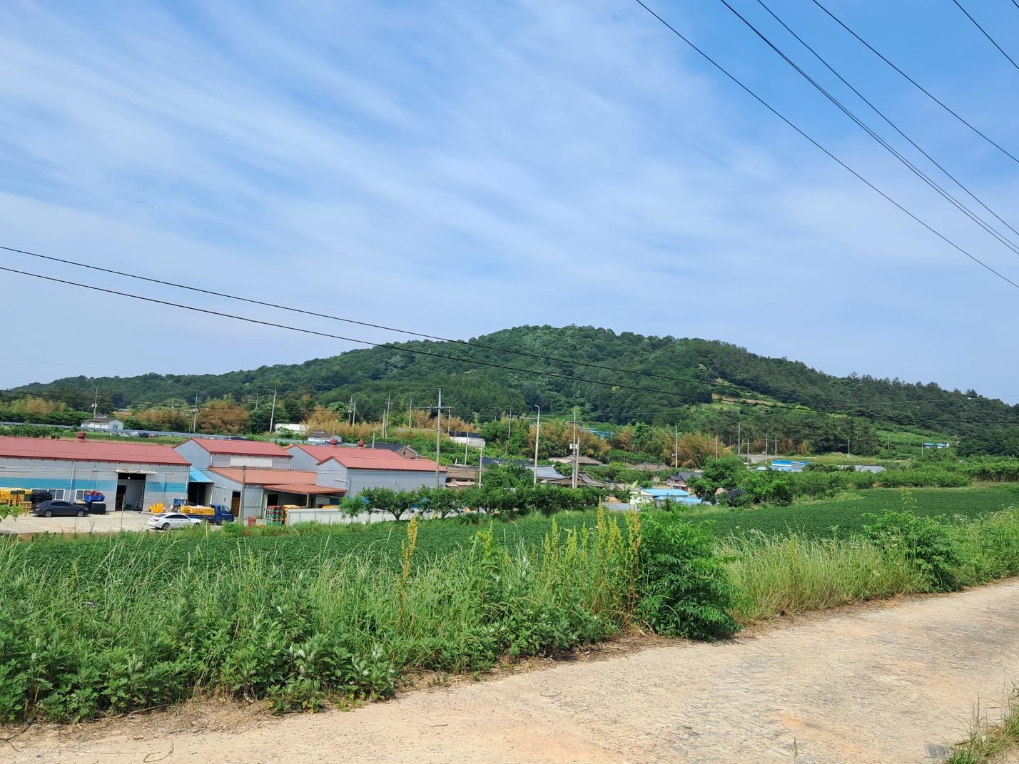 이천5리